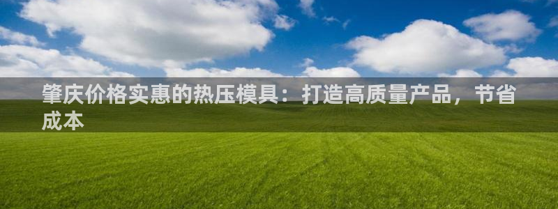 南京易倍易电子科技有限公司：肇庆价格实惠的热压模具：打造