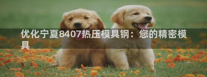 易倍康简历
