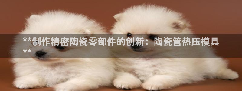 易倍全站下载