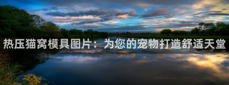 emc mcu：热压猫窝模具图片：为您的宠物打造舒适天堂