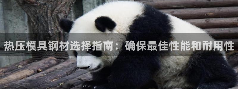 emc易贝体育怎么样：热压模具钢材选择指南：确保最佳性能