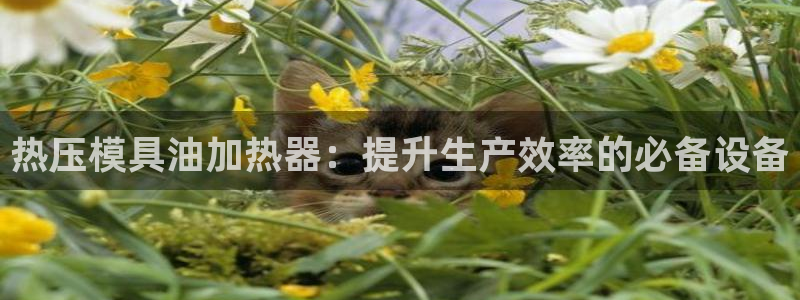 emc倍频干扰：热压模具油加热器：提升生产效率的必备设备