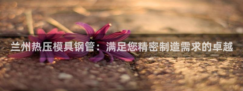 emc全站ag：兰州热压模具钢管：满足您精密制造需求的卓