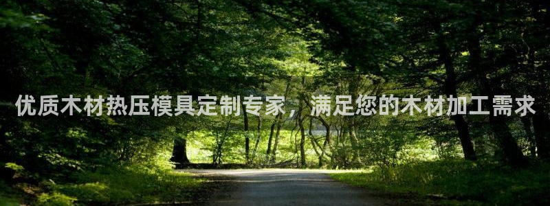 易倍纤多少钱：优质木材热压模具定制专家，满足您的木材加工