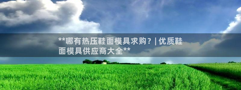 杭州易倍达科技有限公司怎么样：**哪有热压鞋面模具求购？