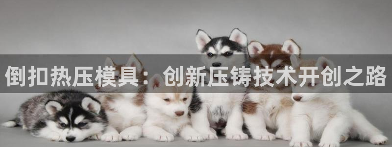 emc易倍怎么样：倒扣热压模具：创新压铸技术开创之路