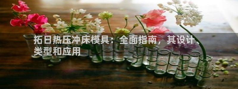 易倍纤奶昔减肥效果怎么样：拓日热压冲床模具：全面指南，其