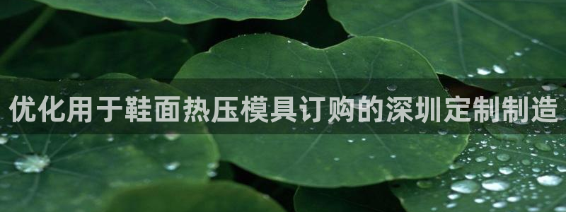 易倍达科技有限公司代运营：优化用于鞋面热压模具订购的深圳