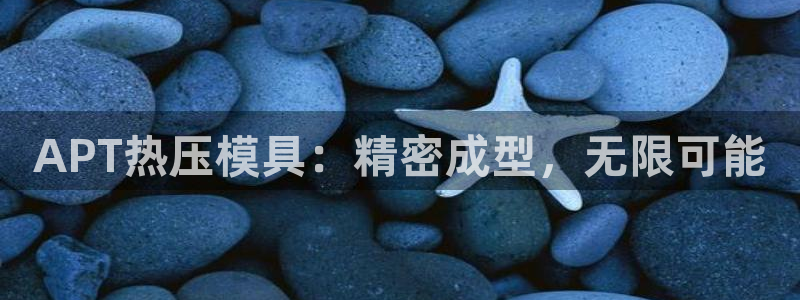 emc易倍出空款：APT热压模具：精密成型，无限可能