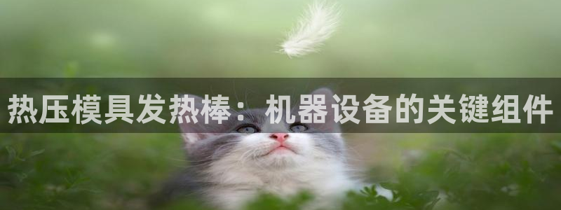 南京易倍易电子科技有限公司：热压模具发热棒：机器设备的关