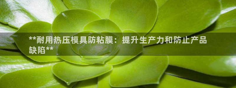 易倍全站：**耐用热压模具防粘膜：提升生产力和防止产品
