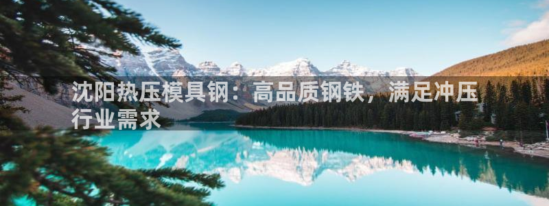 易倍单词官方网站：沈阳热压模具钢：高品质钢铁，满足冲压
