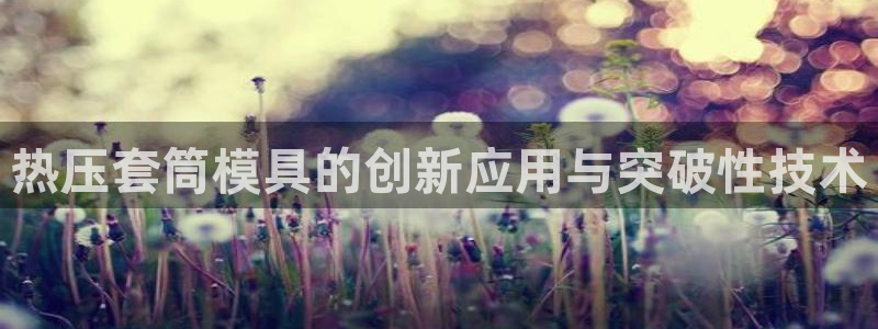 emc倍频：热压套筒模具的创新应用与突破性技术