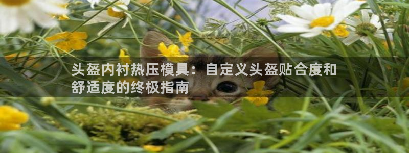 emc全站易倍：头盔内衬热压模具：自定义头盔贴合度和
舒
