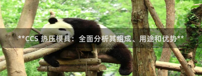 易倍企业管理软件：**CCS 热压模具：全面分析其组成、