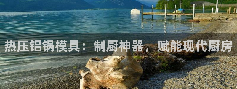 emc软件下载：热压铝锅模具：制厨神器，赋能现代厨房