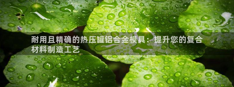 易倍电竞安装教程：耐用且精确的热压罐铝合金模具：提升您的