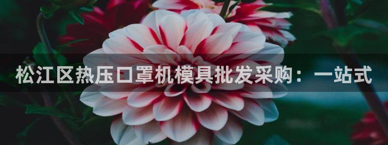 易倍emc网址网页版本登陆：松江区热压口罩机模具批发采购