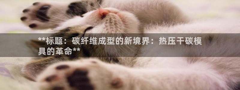 易倍思机电制造(上海)有限公司：**标题：碳纤维成型的新