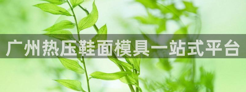 四川易倍易企业管理有限公司：广州热压鞋面模具一站式平台