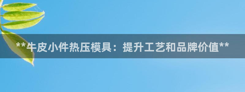 易倍易趣网：**牛皮小件热压模具：提升工艺和品牌价值**