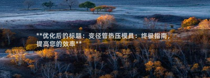 易倍emc安全吗：**优化后的标题：变径管热压模具：终极