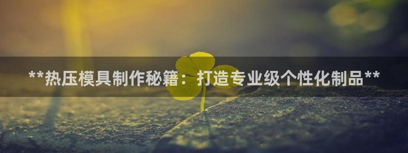 易倍纤瘦身三部曲的价格：**热压模具制作秘籍：打造专业级