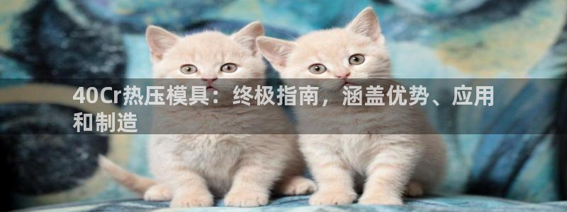 易倍申价格：40Cr热压模具：终极指南，涵盖优势、应用
