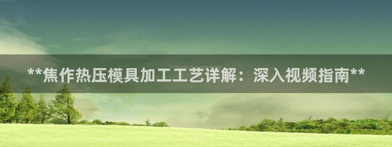 emc倍频干扰怎么解决：**焦作热压模具加工工艺详解：深