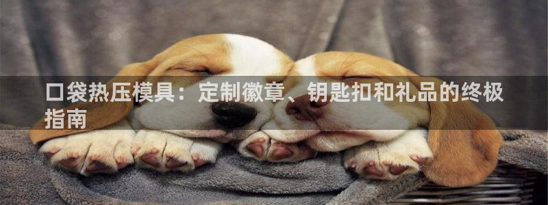 EMC倍频是什么意思：口袋热压模具：定制徽章、钥匙扣和礼