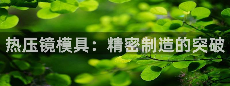 易倍申的副作用：热压镜模具：精密制造的突破