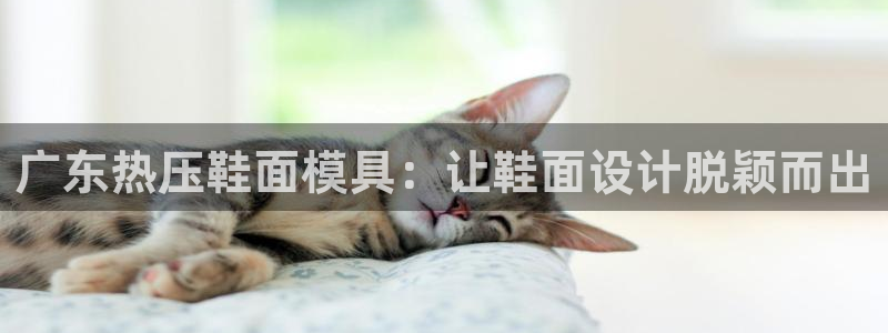 emc全站网页版