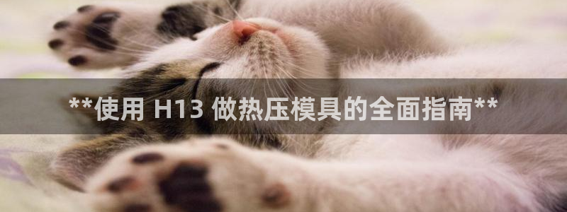 易倍app官网下载安装：**使用 H13 做热压模具的全