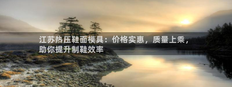 易倍申厂家：江苏热压鞋面模具：价格实惠，质量上乘，
助你