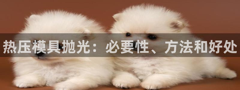 易倍纤代餐奶昔减肥效果怎么样