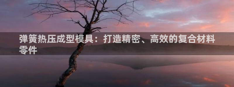 易倍单词平台：弹簧热压成型模具：打造精密、高效的复合材料