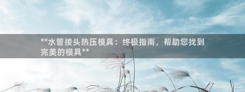 emc易倍电竞：**水管接头热压模具：终极指南，帮助您找