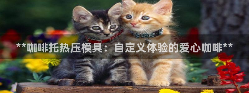 易倍申是进口药吗：**咖啡托热压模具：自定义体验的爱心咖