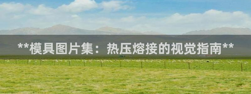 易倍app官网下载安装：**模具图片集：热压熔接的视觉指