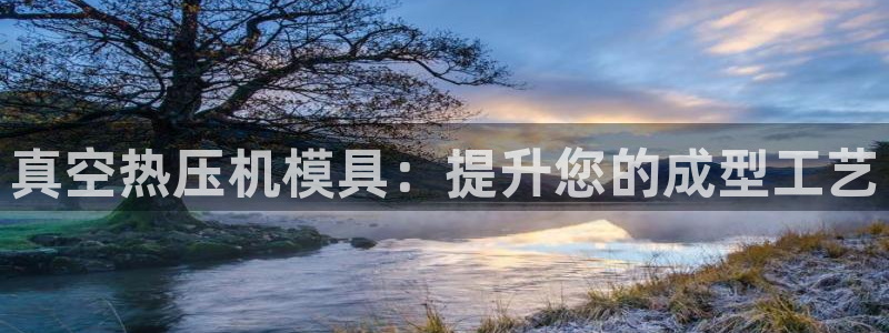 emc易倍官网app下载：真空热压机模具：提升您的成型工
