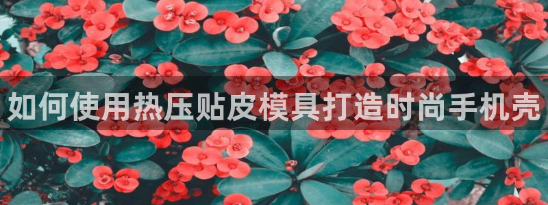 易倍达科技有限公司：如何使用热压贴皮模具打造时尚手机壳