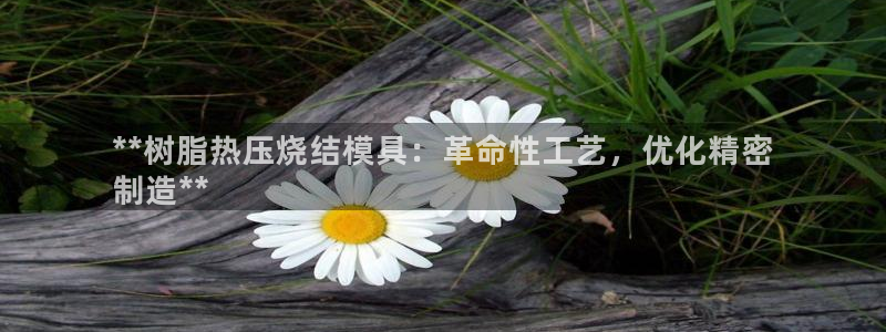 emc mcu：**树脂热压烧结模具：革命性工艺，优化精