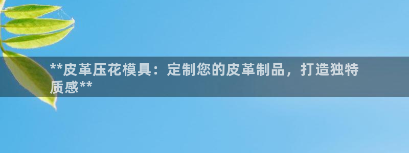 易倍申在中国成功上市：**皮革压花模具：定制您的皮革制品