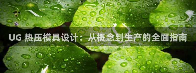 易倍纤减肥反弹不：UG 热压模具设计：从概念到生产的全面