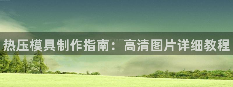 易倍申片的副作用：热压模具制作指南：高清图片详细教程