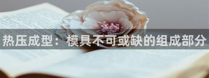 EMC易倍