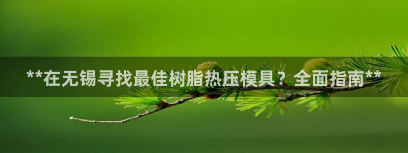 emc易倍穆里尼奥：**在无锡寻找最佳树脂热压模具？全面