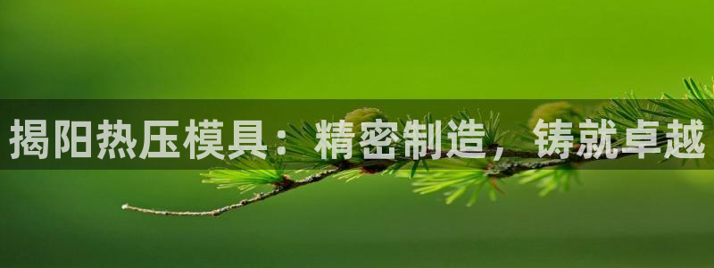 emc服务器是干啥的：揭阳热压模具：精密制造，铸就卓越