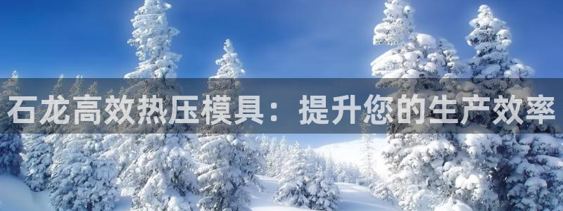 emc32软件使用说明：石龙高效热压模具：提升您的生产效