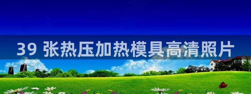 emc网页版：39 张热压加热模具高清照片